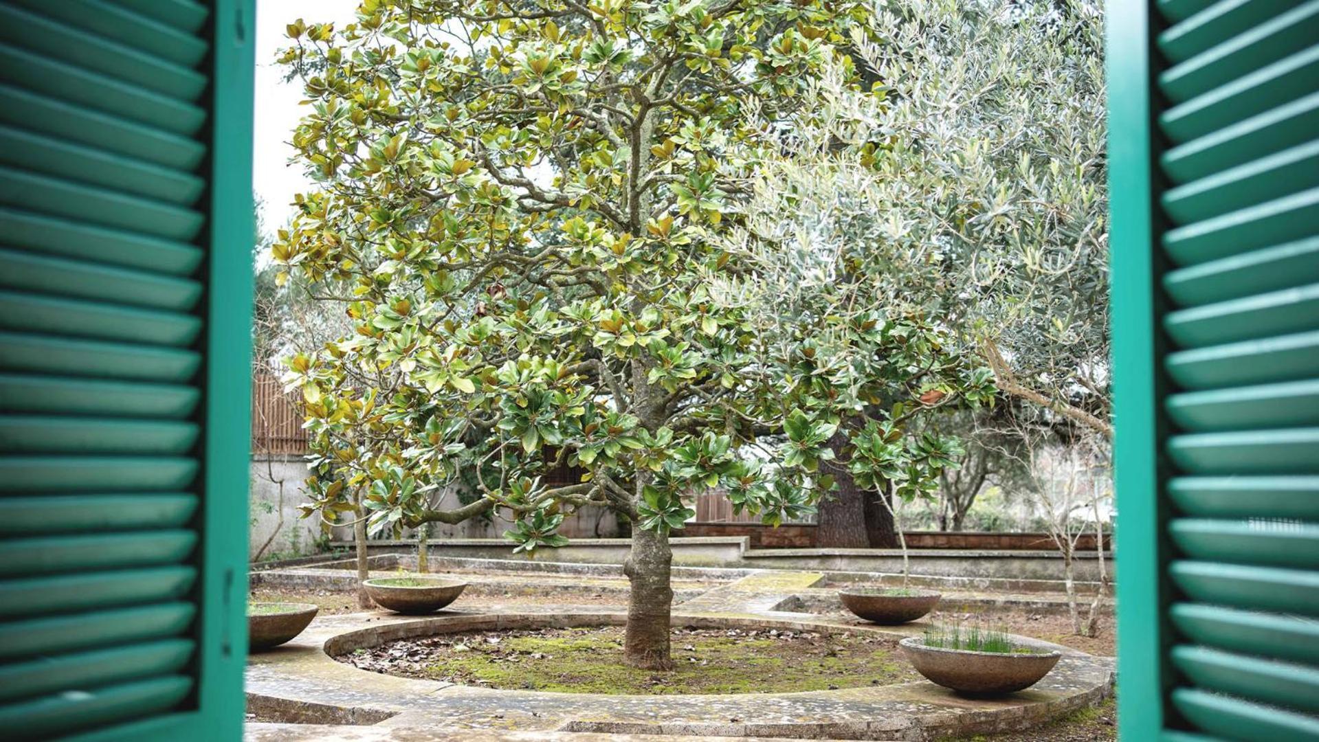Borgo Lucia Villa Selva Di Fasano Bagian luar foto